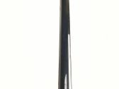 Rear door glass trim molding