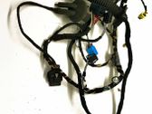 Front door wiring loom