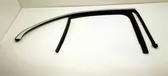 Rubber seal rear door window/glass