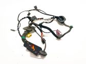 Front door wiring loom