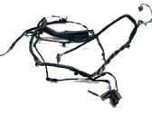 Front door wiring loom