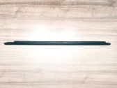 Rear door glass trim molding
