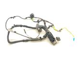 Rear door wiring loom