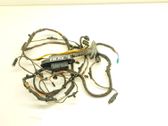 Front door wiring loom