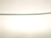 Rear door glass trim molding