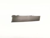 Rear door glass trim molding