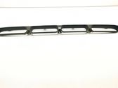 Front bumper lower grill