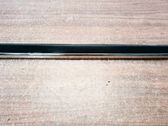 Listón embellecedor de la puerta delantera (moldura)
