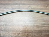 Listón embellecedor de la puerta delantera (moldura)