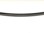 Other rear door trim element