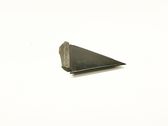 Rear door glass trim molding