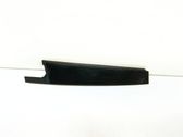 Rear door glass trim molding
