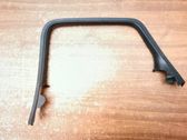 Rear door glass trim molding