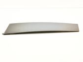 Rear door glass trim molding