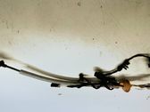 Rear door cable line