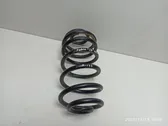 Rear coil spring