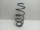 Front coil spring