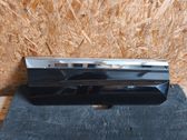Rear door trim (molding)