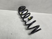 Rear coil spring