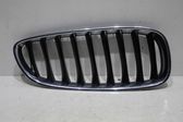 Front bumper upper radiator grill