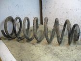 Rear coil spring