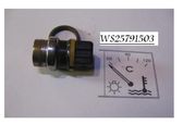 Coolant temperature sensor