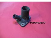 Thermostat/thermostat housing