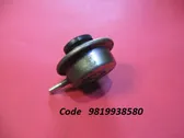 Fuel pressure regulator