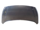 Engine bonnet/hood