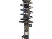 Front shock absorber with coil spring