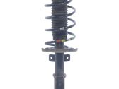 Front shock absorber with coil spring