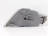 Front fender indicator light
