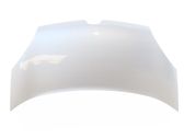 Engine bonnet/hood