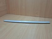 Windshield trim