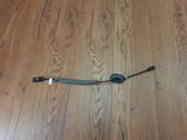 Rear door cable line