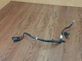 Other wiring loom