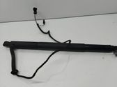 Tailgate/trunk strut/damper