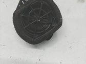 Rear door speaker