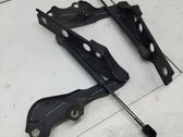 Bisagras del capó/tapa del motor