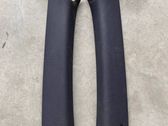 (A) pillar trim