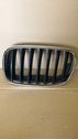 Front bumper upper radiator grill