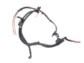 Other wiring loom