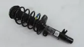 Front shock absorber/damper