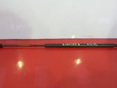 Tailgate/trunk strut/damper