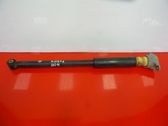 Rear shock absorber/damper
