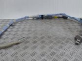 Roof airbag