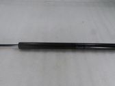 Tailgate/trunk strut/damper