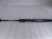 Tailgate/trunk strut/damper