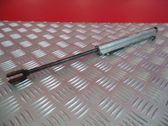 Tailgate/trunk strut/damper