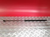 Tailgate/trunk strut/damper